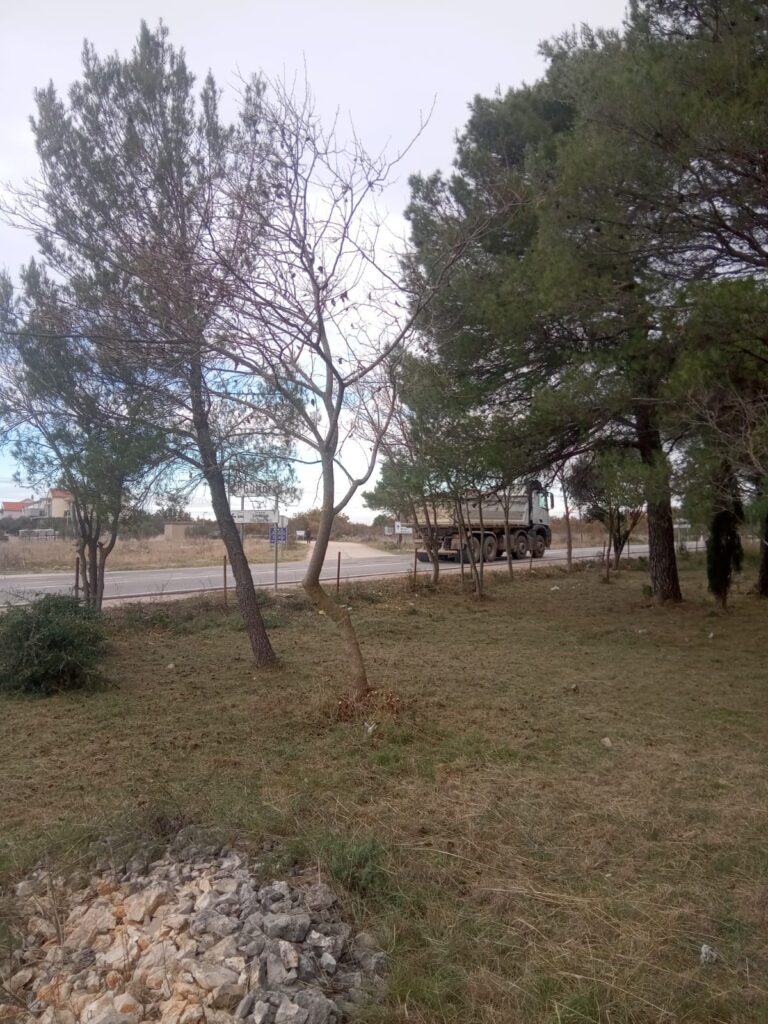 slika4