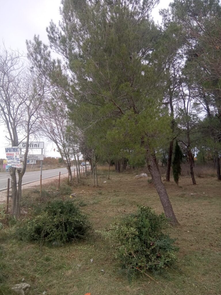 slika6